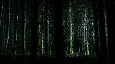 (GROWLING) - Grimm