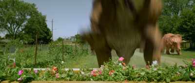 [growling] - Dino Dana: The Movie