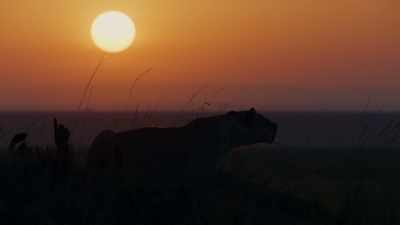 (GROWLING) - Dynasties