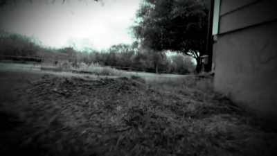 [ GROWLING ] - Strange Evidence