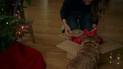 (growling) - Magical Christmas Ornaments