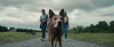 [growling, sniffing] - Pet Sematary: Bloodlines