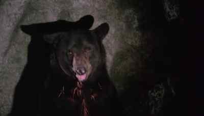 -(GROWLS)
-(MEN SCREAM) - Escape to Witch Mountain