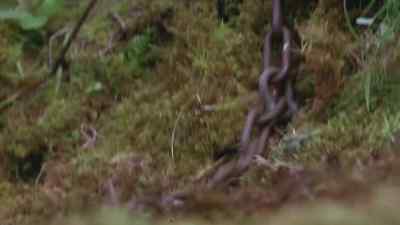 [GROWLS] - The Amazing Panda Adventure
