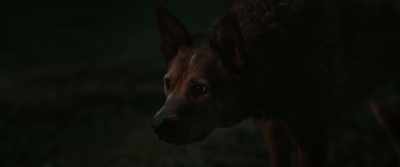[growls] - Pet Sematary: Bloodlines