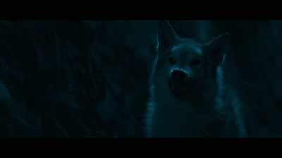 [growls] - The Stand