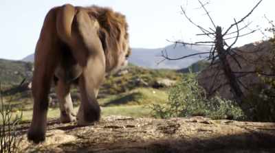 (GROWLS) - The Lion King
