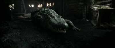 (GROWLS) - Crawl