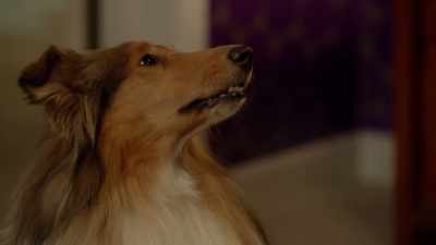 [ Growls ] - Ms Fisher's Modern Murder Mysteries