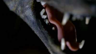 [ GROWLS ] - Strange Evidence