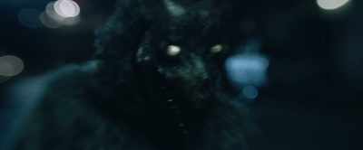 - Grrr!
- Howl, Will, howl. - Hypochondriac