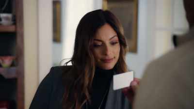 "Grrrreat jobs by David." - Mystery on Mistletoe Lane