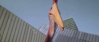 [grumbles and squawks] - Dino Dana: The Movie