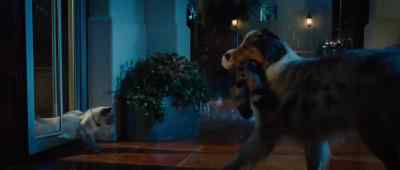 (GRUNTING) Nobody ever
puts in a cat door! - Marmaduke