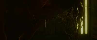 [grunting] - Box: Metaphor