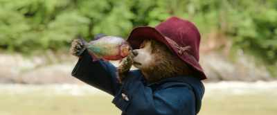 (Grunting) - Paddington in Peru