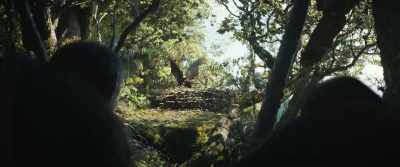 [grunting] - Kingdom of the Planet of the Apes
