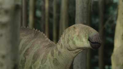 [grunting] - Prehistoric Planet