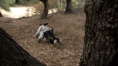 What the hell are you doing? - Teen Wolf