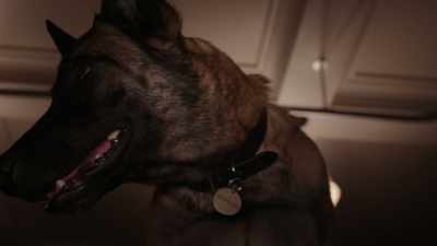 - [grunting] - Psych 2: Lassie Come Home