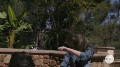 [grunting] - A Daughter's Deception