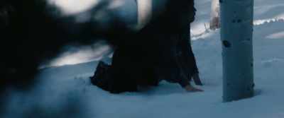 (GRUNTING) - Wind River