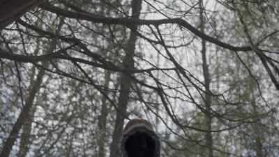 [grunting] - Slasher