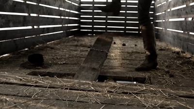 [GRUNTING] - Hell on Wheels