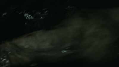 [grunting] - Siren