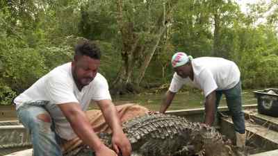            [grunting] - Swamp People