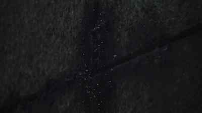 [grunting] - The New Legends of Monkey