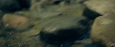[grunting] - The Marsh King's Daughter