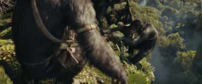 [grunts, chatters] - Kingdom of the Planet of the Apes