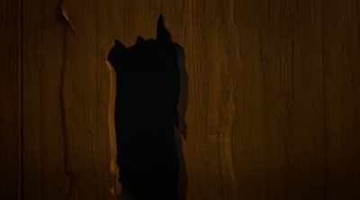 -(GRUNTS)
-(CLANKING) - Lego Star Wars Terrifying Tales