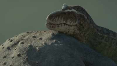 [grunts, growls] - Prehistoric Planet
