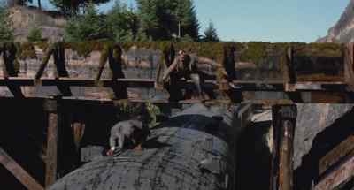 [ Grunts ]
Over here. Here. - Emperor of the North