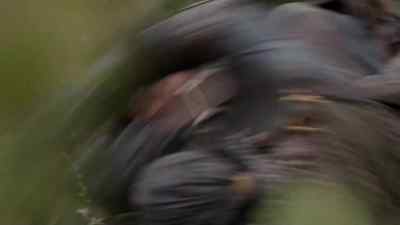 (GRUNTS) - The Musketeers