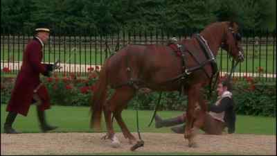 (GRUNTS) - Black Beauty