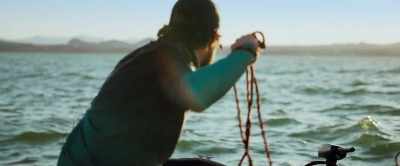 [grunts] - Shark Warning