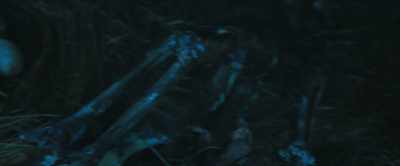 [grunts] - The Bayou