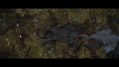 [grunts] - Prey