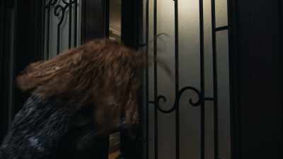 [grunts] - Home Sweet Home Alone