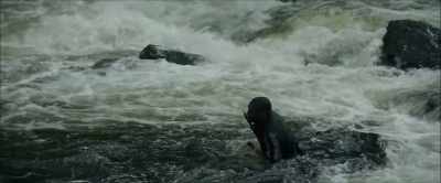 [GRUNTS] - Chaos Walking