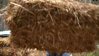 [grunts] - Moonshiners: Master Distiller