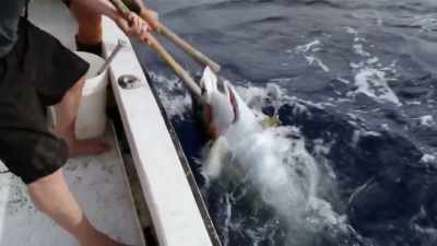 [grunts] - Deadliest Catch: Bloodline