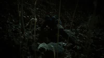 Ah, come on.: Come on. - Gotham
