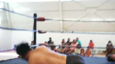 (Grunts) - The Wrestlers