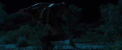 (GRUNTS) - Wonder Woman