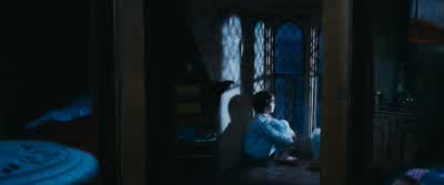 Gryffindors, follow me, please. - Harry Potter and the Philosopher's Stone