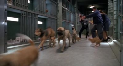 (guard) Go, go, go. The door! - Garfield